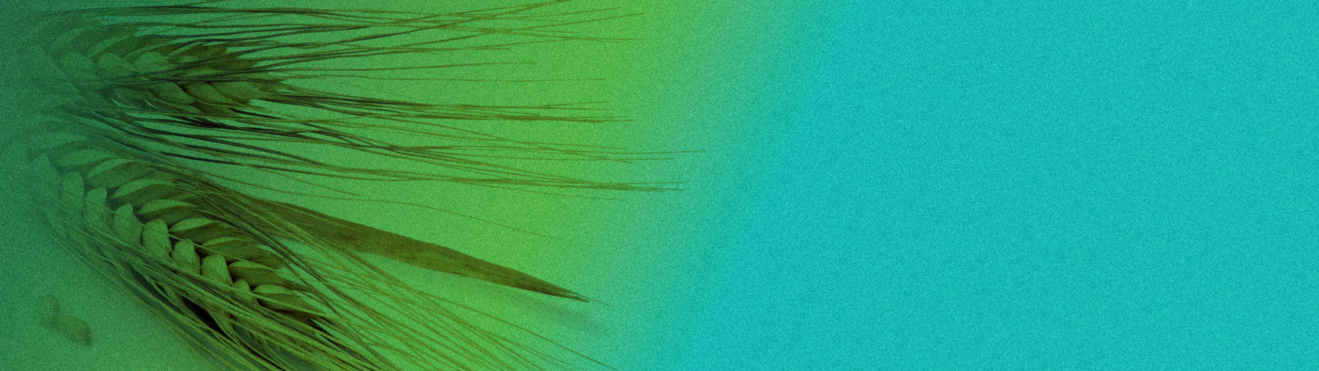 ph cash casino login